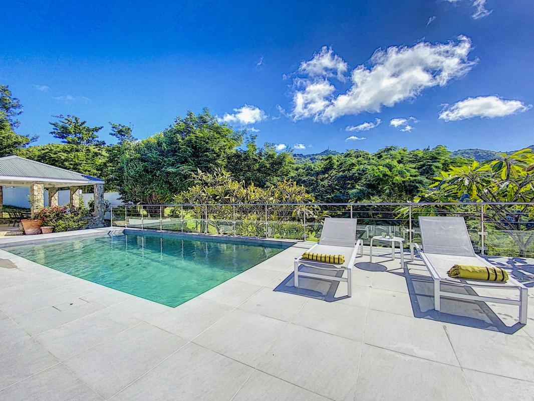 Saint Martin Pic Paradise location villa __piscine-17